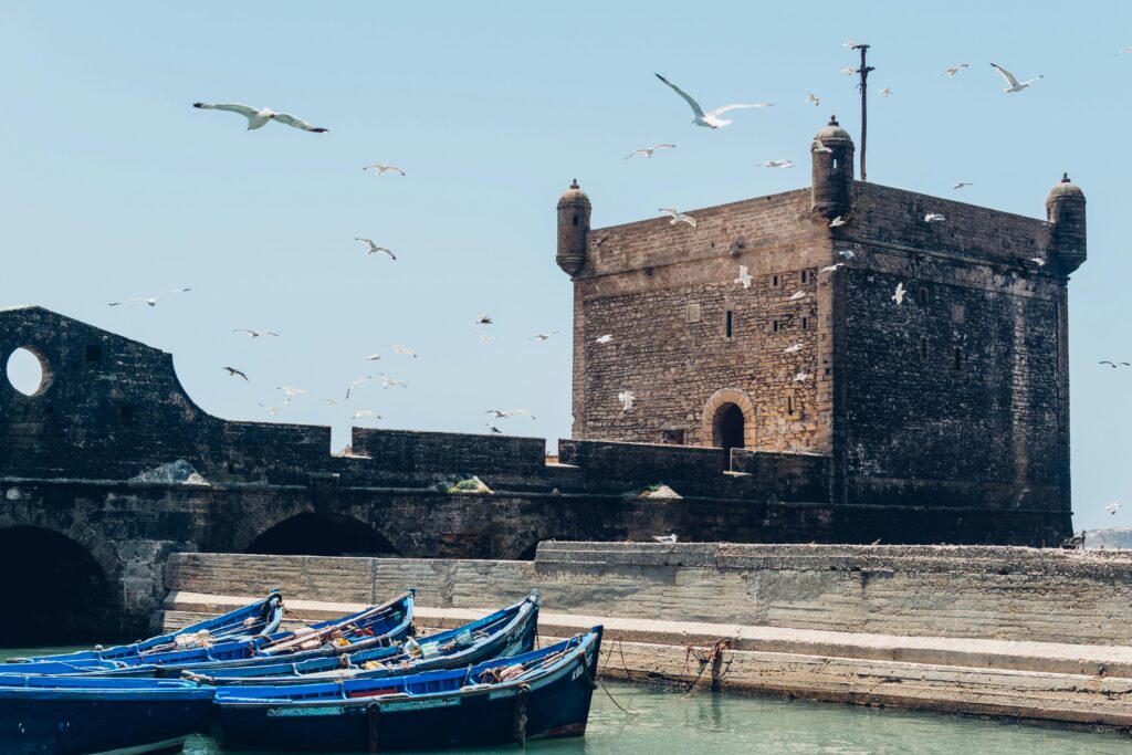 A scenic view of the Essaouira citadel with seagulls in flight and boats docked at the harbor.